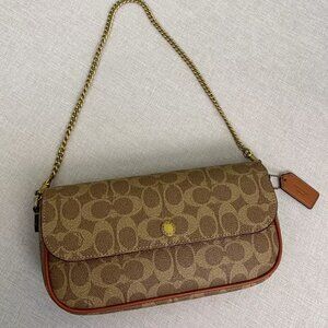 The Coach Brook Chain bag